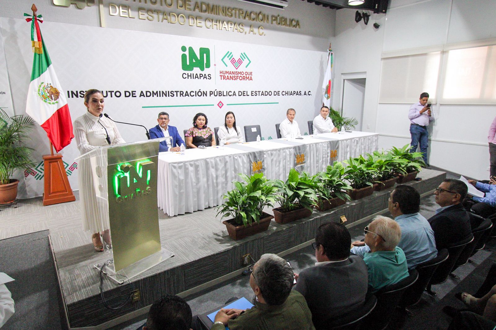 Imagen de la galería