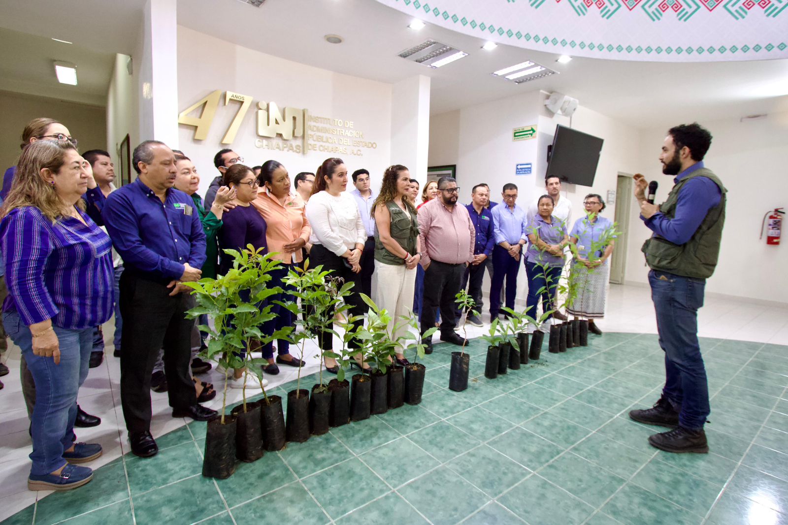 Imagen de la galería