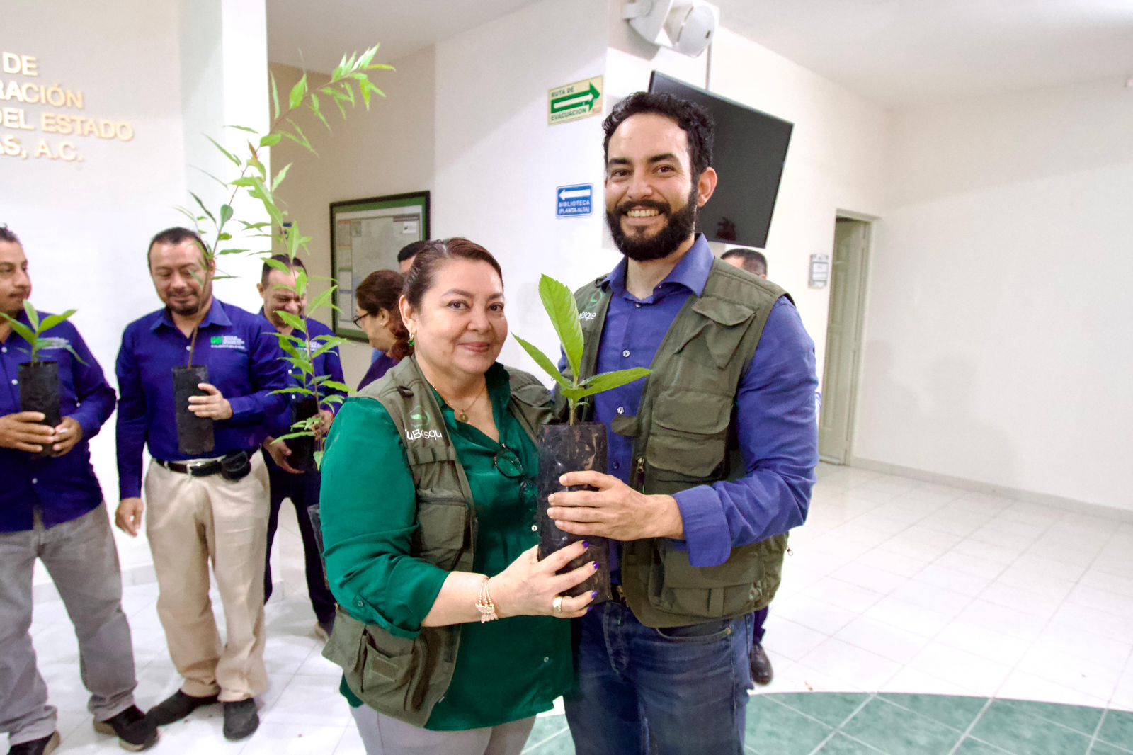 Imagen de la galería