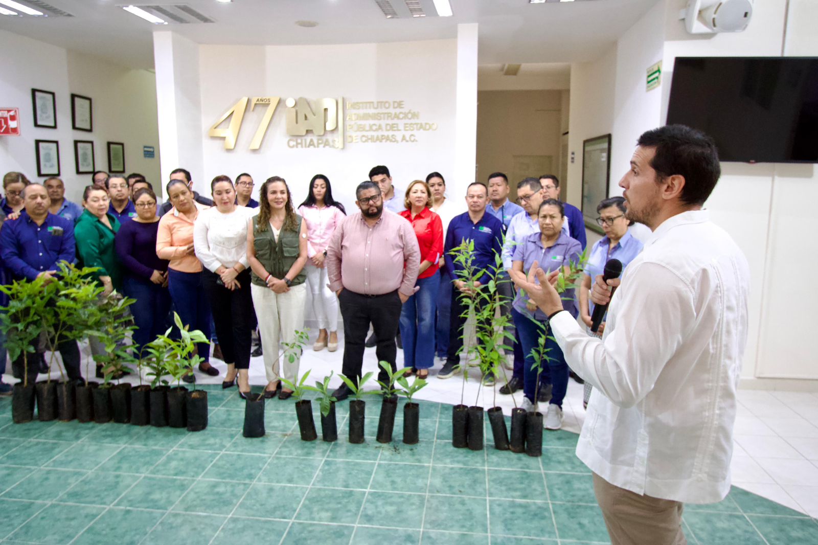 Imagen de la galería