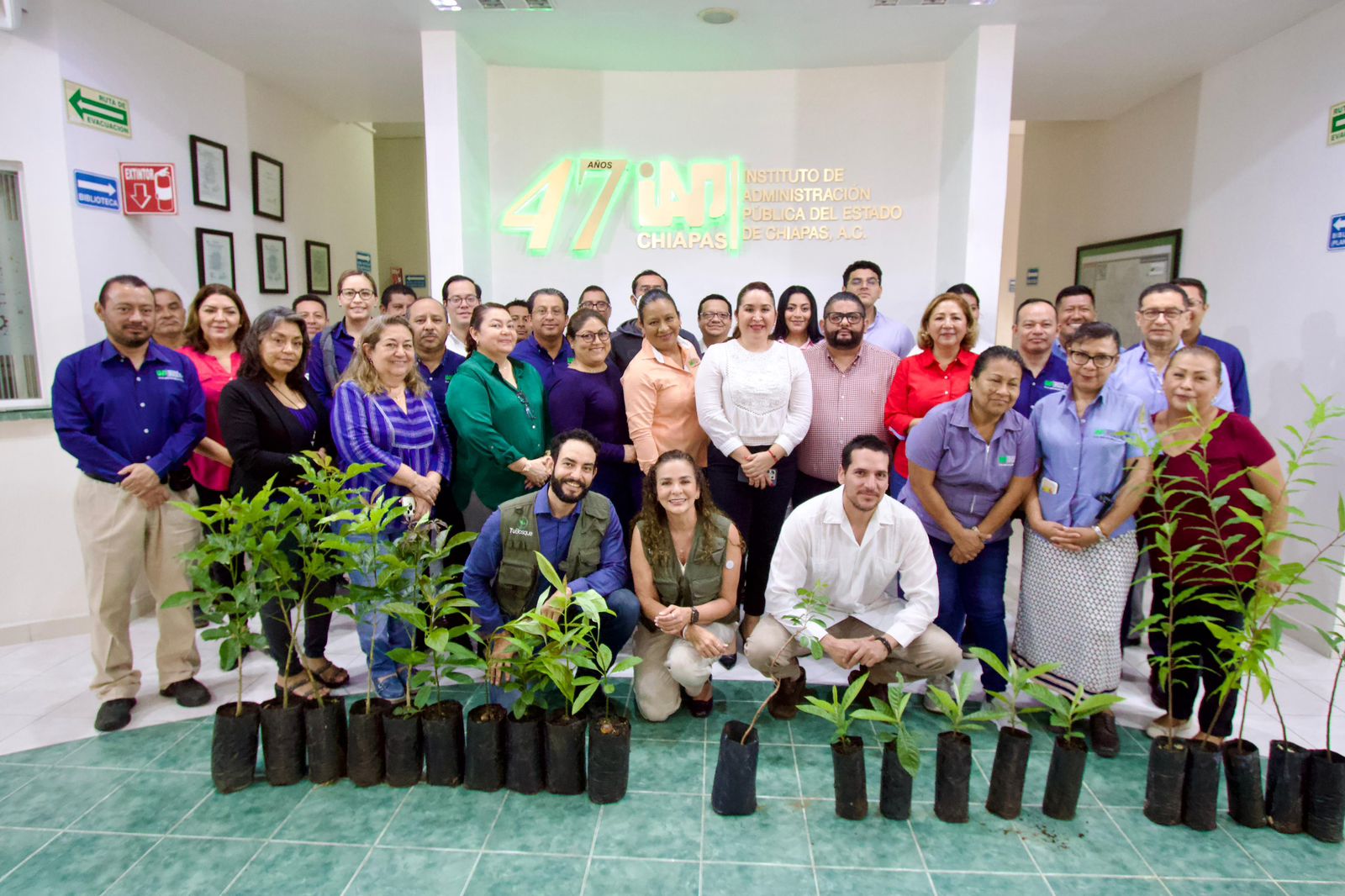 Imagen de la galería