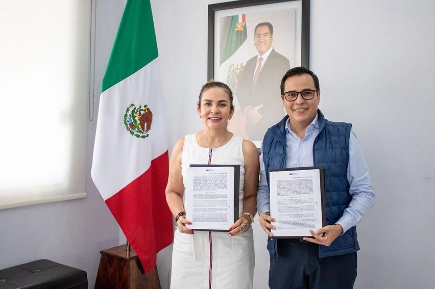 Imagen de la galería