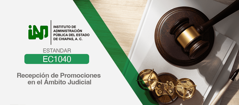 Imagen de Recepción de Promociones en el Ámbito Judicial